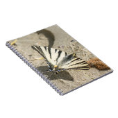 Schmetterling Notizblock (Rechte Seite)
