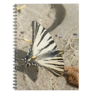 Schmetterling Notizblock