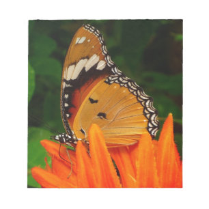 Schmetterling Notizblock
