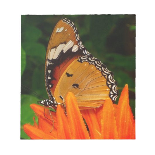 Schmetterling Notizblock (Vorderseite)