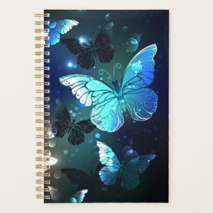 Schmetterling Planer