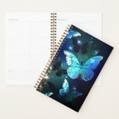 Schmetterling Planer (Anzeige)