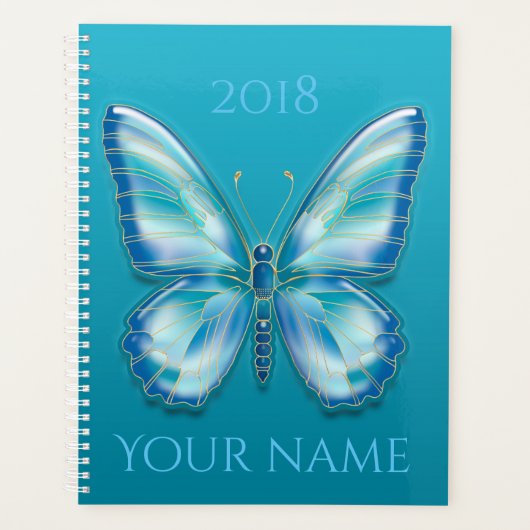 Schmetterling Planer (Vorderseite)