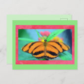 Schmetterling-Pockkarte Postkarte (Vorne/Hinten)