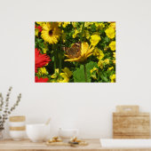 Schmetterling Poster (Küche)