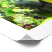 Schmetterling Poster (Ecke)