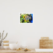 Schmetterling Poster (Küche)