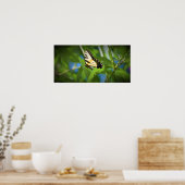 Schmetterling, poster (Küche)