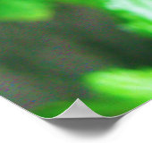 Schmetterling Poster (Ecke)