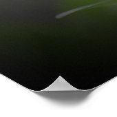 Schmetterling, Poster (Ecke)