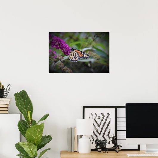 Schmetterling, Poster (Heimbüro)