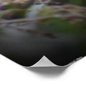 Schmetterling, Poster (Ecke)