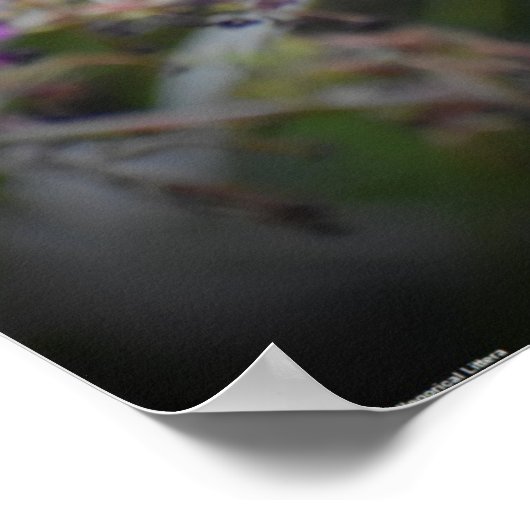 Schmetterling, Poster (Ecke)