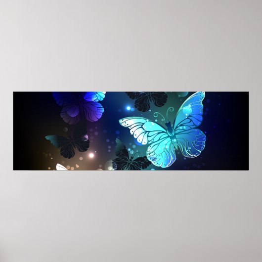 Schmetterling Poster (Vorne)