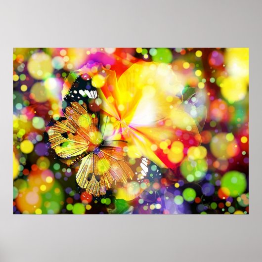 Schmetterling Poster (Vorne)