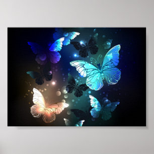 Schmetterling Poster