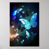 Schmetterling Poster (Vorne)