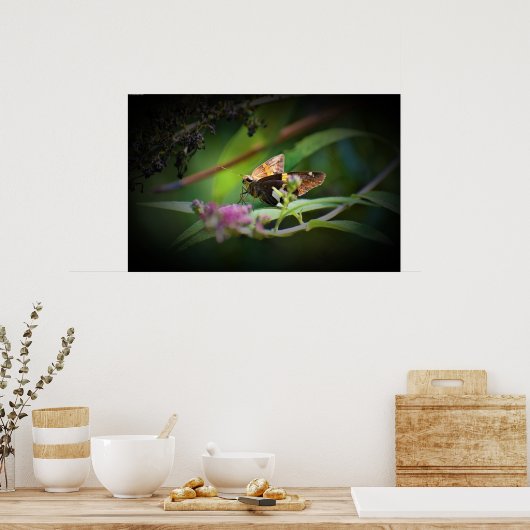 Schmetterling, Poster (Küche)