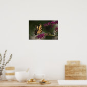 Schmetterling, Poster (Küche)