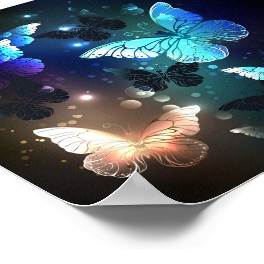 Schmetterling Poster (Ecke)