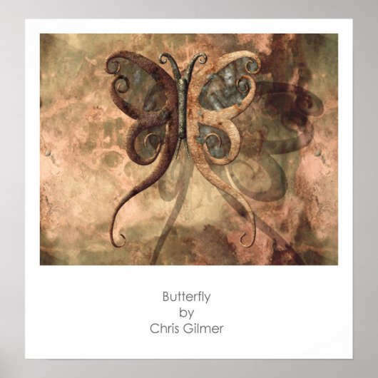 Schmetterling Poster (Vorne)