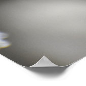 Schmetterling Poster (Ecke)