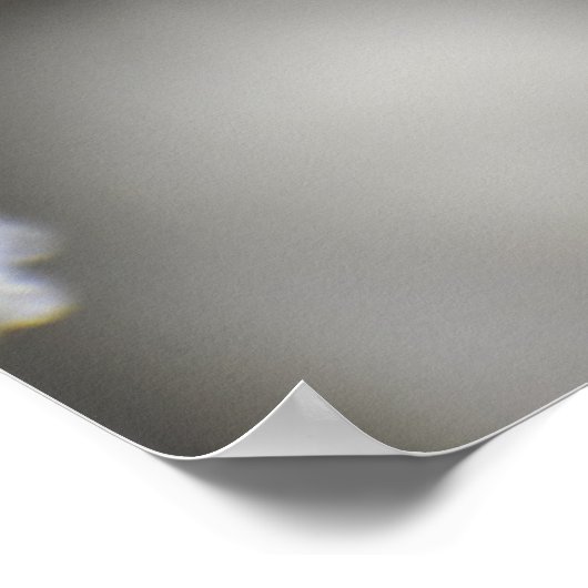 Schmetterling Poster (Ecke)