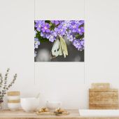Schmetterling Poster (Küche)