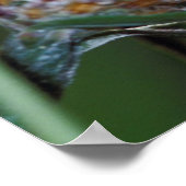 Schmetterling Poster (Ecke)