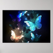 Schmetterling Poster (Vorne)