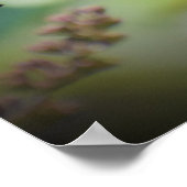 Schmetterling, Poster (Ecke)