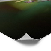 Schmetterling, Poster (Ecke)