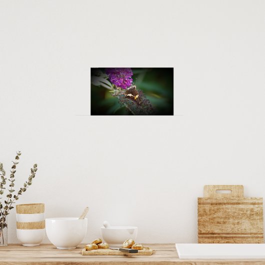 Schmetterling, Poster (Küche)