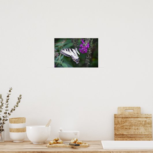 Schmetterling, Poster (Küche)