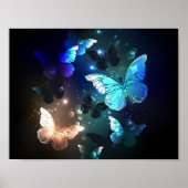 Schmetterling Poster (Vorne)