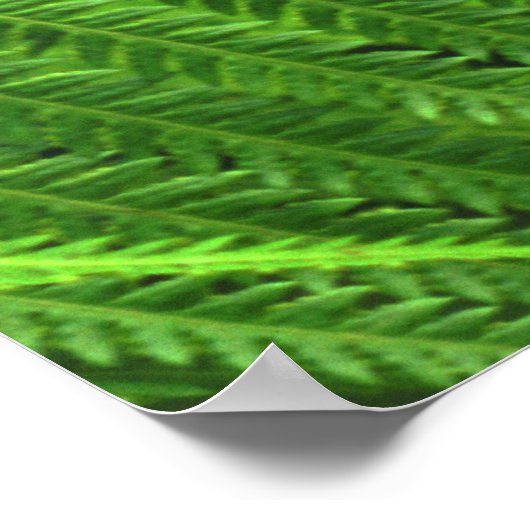 Schmetterling Poster (Ecke)