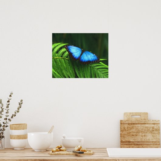 Schmetterling Poster (Küche)