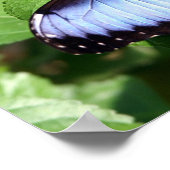 Schmetterling Poster (Ecke)
