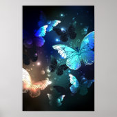 Schmetterling Poster (Vorne)