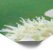 Schmetterling Poster (Ecke)