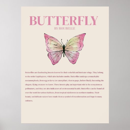 Schmetterling Poster (Vorne)