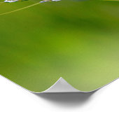 Schmetterling Poster (Ecke)