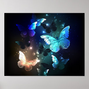 Schmetterling Poster