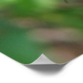 Schmetterling Poster (Ecke)