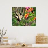 Schmetterling Poster (Küche)