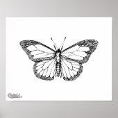 Schmetterling Poster (Vorne)