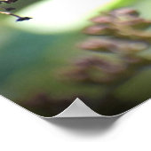 Schmetterling, Poster (Ecke)