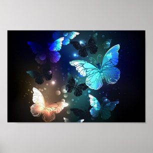 Schmetterling Poster