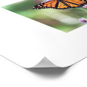 Schmetterling Poster (Ecke)
