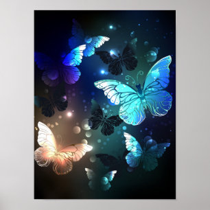 Schmetterling Poster